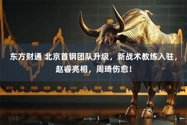 东方财通 北京首钢团队升级，新战术教练入驻，赵睿亮相，周琦伤愈！
