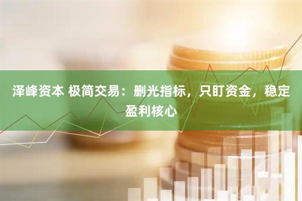 泽峰资本 极简交易：删光指标，只盯资金，稳定盈利核心